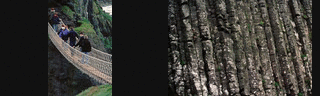 [Images]