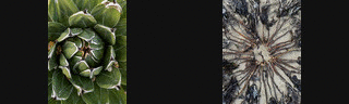 [Images]